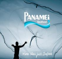 images/poissons/Panamei-saintmartin.jpg